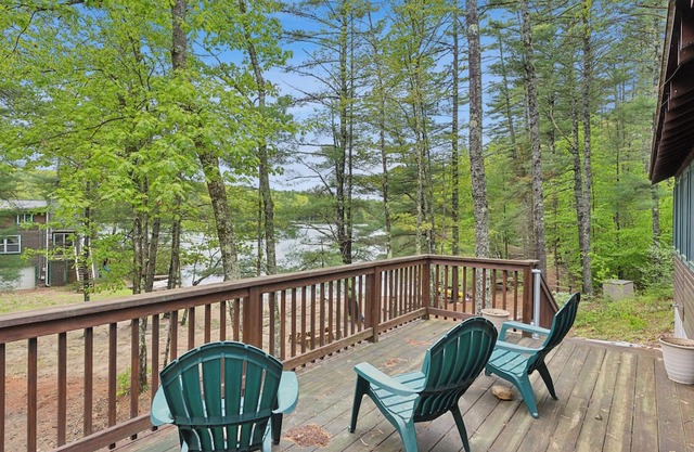 Balch Lakeside Lodge 3-bedroom cabin with WIFI/AC
