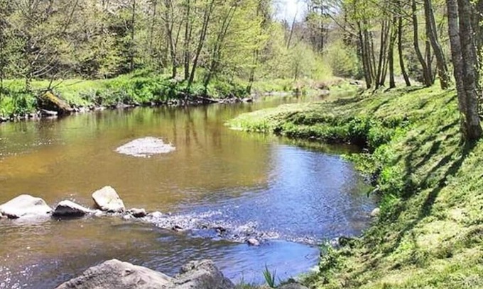 Saint-Paulien Casa | Camping Flower La Rochelambert **** - Mobile home Premium Côté Piscine 3 rooms 4 people