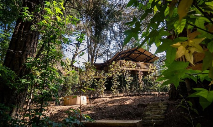 Valle de Bravo Casa | Pecana, incredible lodge in the forest with