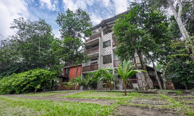 Aburi Apartamento | The Treehouse Studio apartments with a large rooftop terrace.