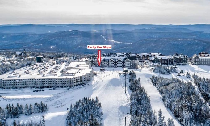 Snowshoe Condominio | Cozy Allegheny Condo Bike In/out from patio