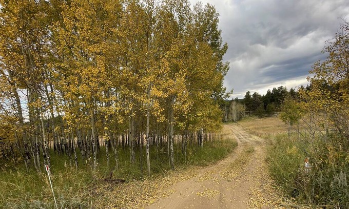 Nederland Cabina | Slice of Wild Heaven: Magical, Cozy, Forest Cabin @ the Top of the World. Views