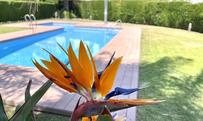 Miami Platja Apartamento | APARTBEACH - PANORAMIC WITH BEACH AND POOL VIEWS