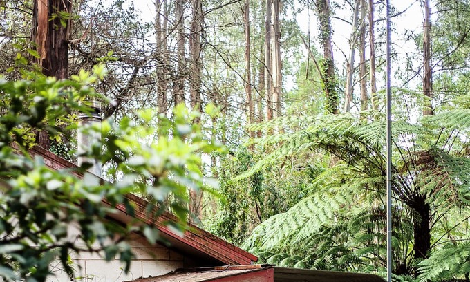 Mount Dandenong Cabaña | Spa Cottage in 7 acre Rain Forest Paradise