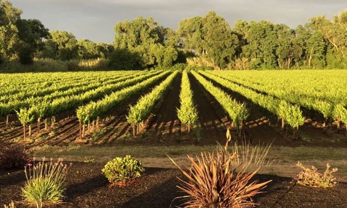 Victor Casa | Beautiful Luxury Estate in the Vineyards