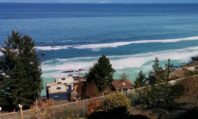 Regional District of Nanaimo Apartamento | Big Vista Panoramic Cruise-ship-View Suite. Minutes from the beach!