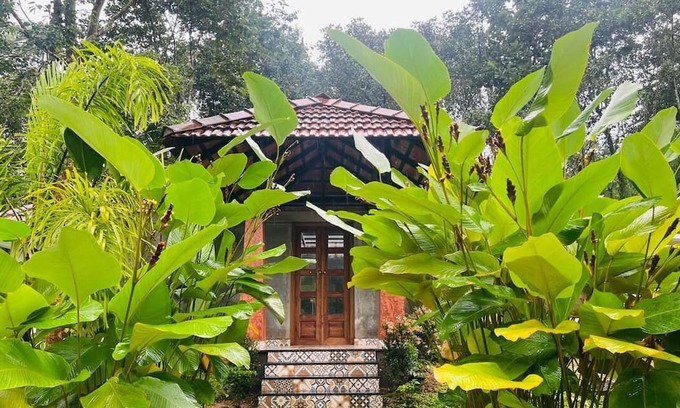 Sulthan Bathery Hotel | The Village Vista