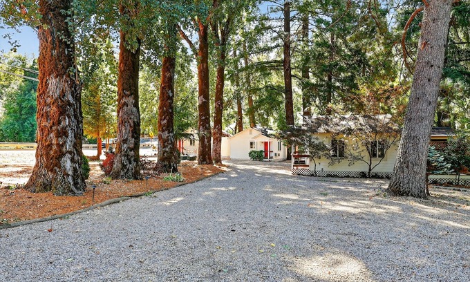 Cobb Apartamento | Rouge Cobb Mountain Hotel - Cabin 1