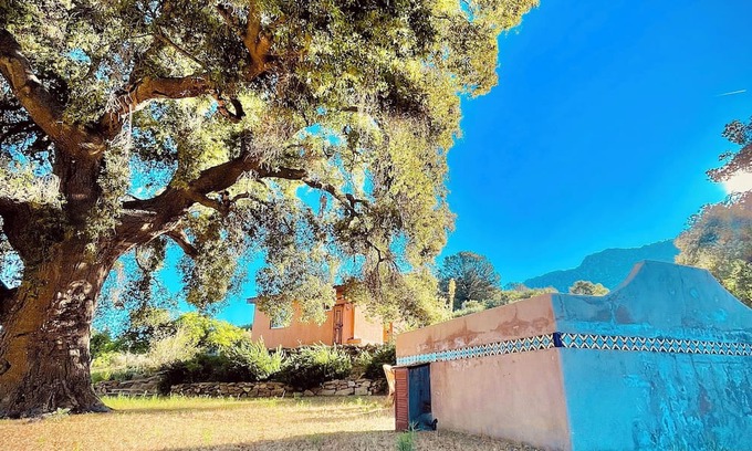 Nueva Ensenada Cabina | Casita de Adobe: Escape to the Sierra and Disconnect