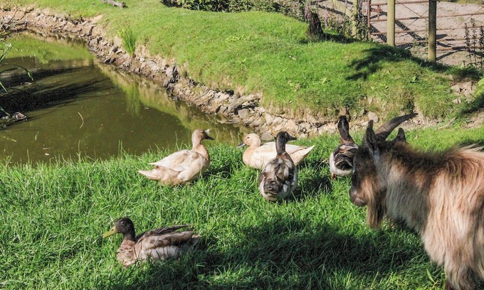 Umberleigh Cabaña | 3 bedroom accommodation in Kings Nympton, near South Molton