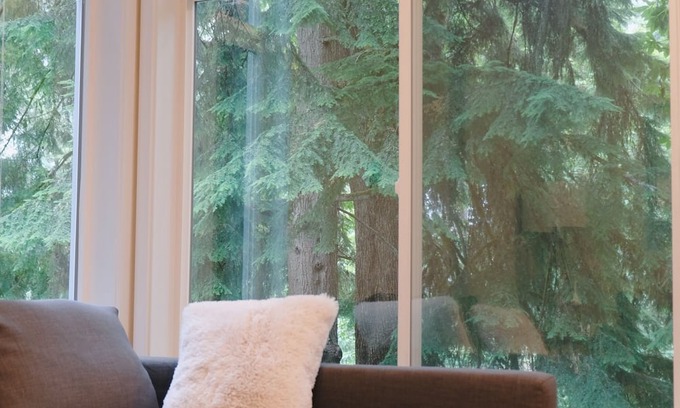 Mercer Island Apartamento | Entire 1b1b Mercer Island apartment