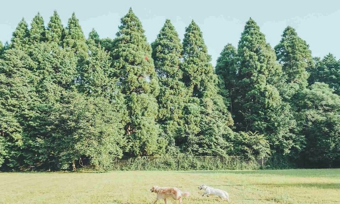 Sanbu-gun Casa | August only 20 off Limited to one group per d /Sanbu-gun Chiba