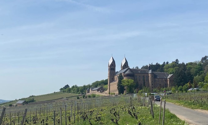 Geisenheim Apartamento | Weinwandernwald im Rheingau
