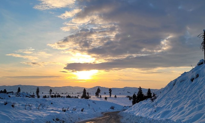 Okanogan County Cabina | Cabin retreat outside of Omak! Hunter's dream and offroad enthusiasts paradise!