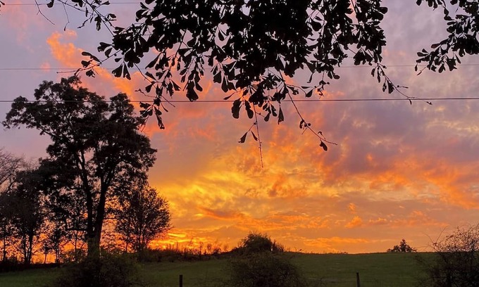 Jersey Cabaña | Farm Stay - Spend the night in a converted grain silo on a working tree farm!
