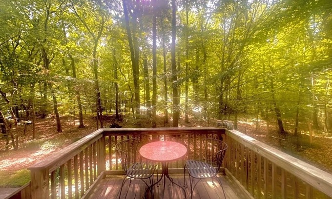 Hillsborough Apartamento | Woodland Haven only five minutes from historic downtown Hillsborough!