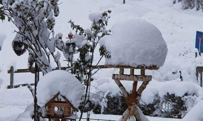 Buchenberg Casa | Steidele Comfortable holiday residence