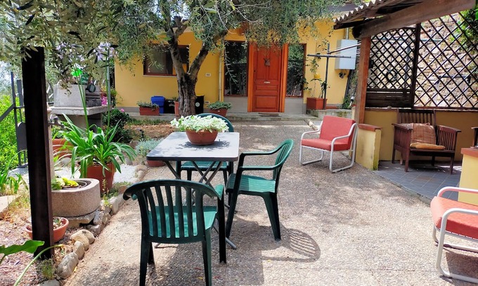Castellaro Casa | Peace and calm among the seven hundred olive trees