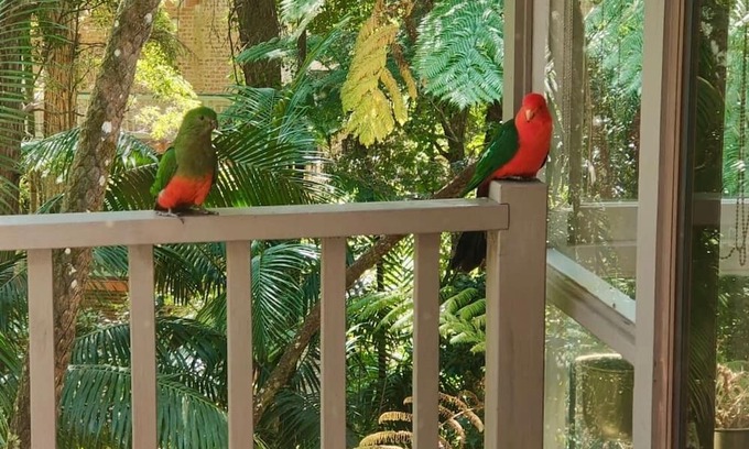 Killara Casa | Natures Retreat Getaway your ideal staycation retreat