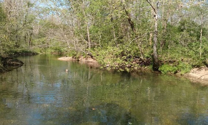 Macomb Alquiler De RV | RV sites with river access.