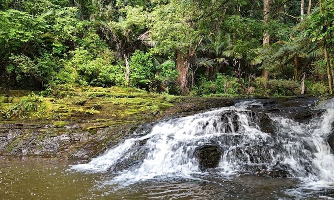 Warkworth Cabina | Hot Tub overlooking a waterfall, near beaches, vineyards, Matakana, Brick Bay