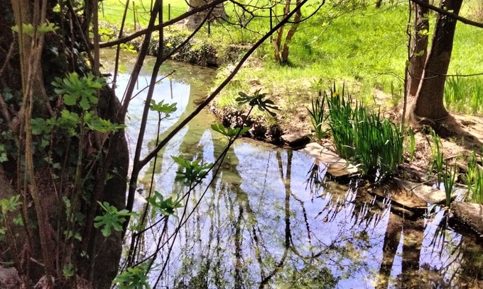 Forcalqueiret Otro | La Ruralité en Provence Verte 40 min de la mer Avec Source Ruisseau Oiseaux