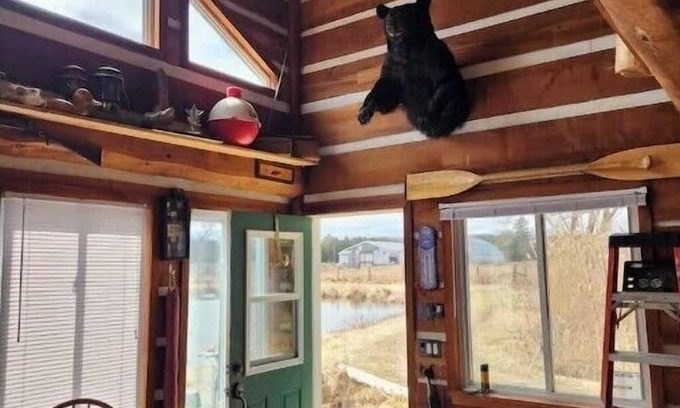 Clarington Cabina | The Dreamers Cabin at Dare2Dream Farm
