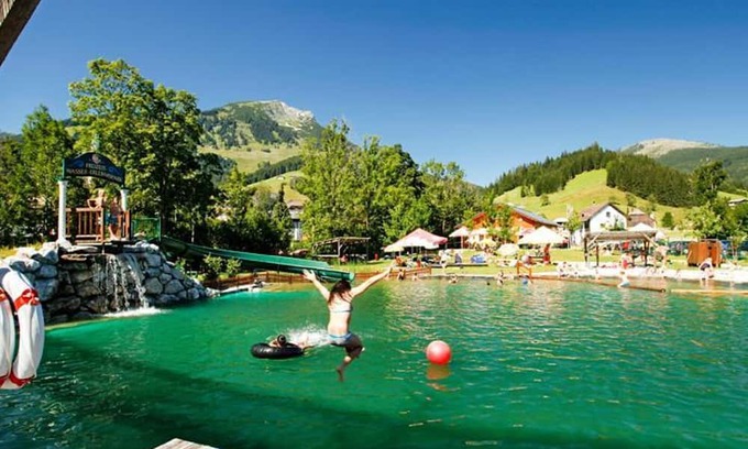 Russbach am Pass Gschuett Apartamento | Vrbo Property