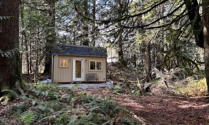 Snohomish Cabina | The Hideaway Cabin