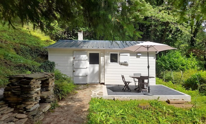 Fraissines Chalet De Esquí | Chalet Cosy Dans un Cadre Verdoyant et Boisé