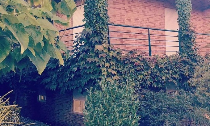 Fragoso Apartamento | 🌿 Casa com Raízes e História. É Casa com Alma. É Refúgio Para Quem nos Visita