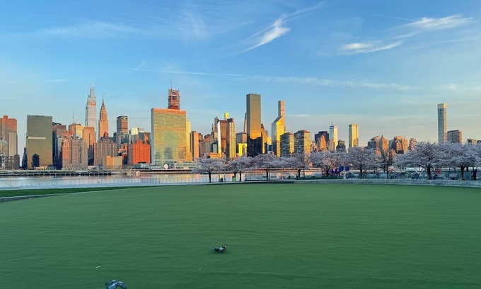 Hunters Point Apartamento | Great one bedroom studio in a great neighborhood.