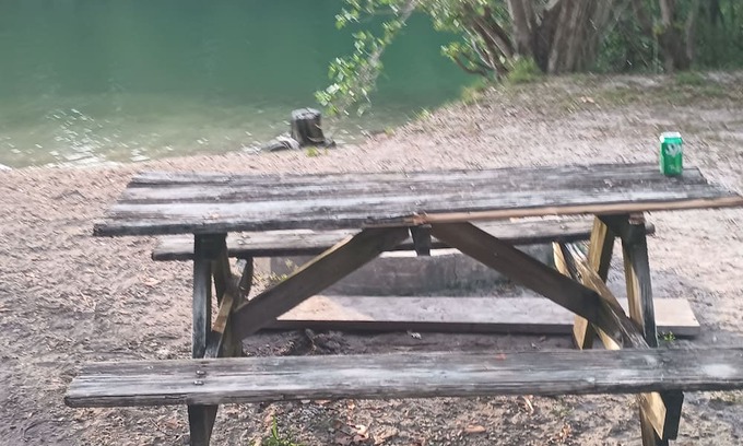 Sunny Isles Beach Alquiler De RV | Camp grounds near the lake ! Beautiful with camp fire spot !