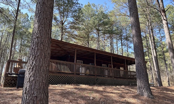 Dover Cabina | NEW LISTING! Private Cabin with Big Piney Creek frontage!