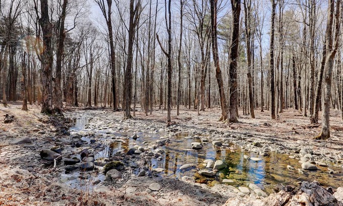 Palenville Otro | Cozy and quiet 1850's Saxton Creek Farmhouse close to Saugerties, Woodstock