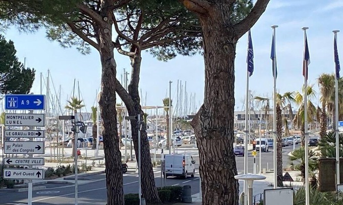 La Grande-Motte Apartamento | Studio Cabine 4 Couchages , Centre Ville, Cuisine Équipée , Port , Plage , Parking