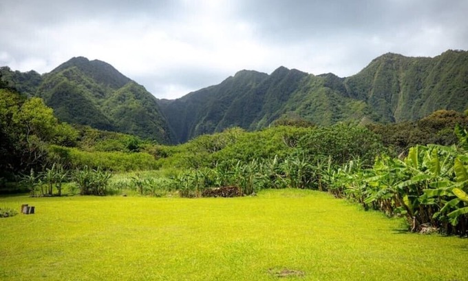 Punaluu Cabina | Majestic Paradise Cabin