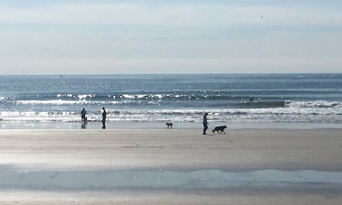 Kennebunk Cabaña | Very private setting on 6 acres,1 mile to beaches and 1 mile to Dock Square.