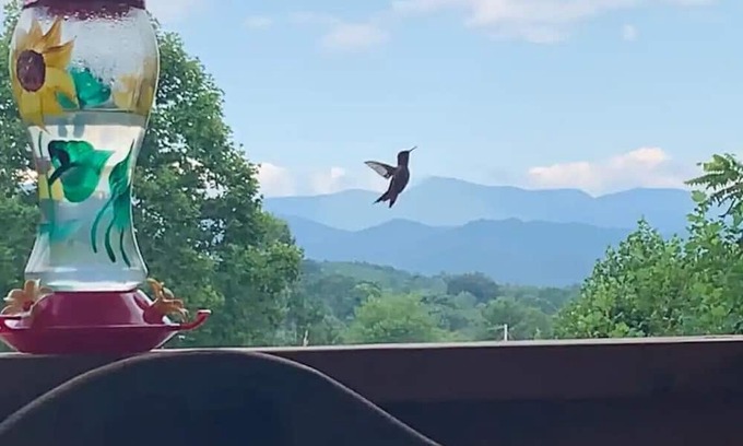 Mars Hill Apartamento | Private Guest Suite with Mountain View Near Asheville