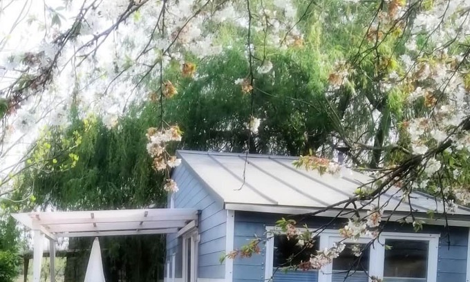 Diersheim Apartamento | Modernes Tiny House Ortenau