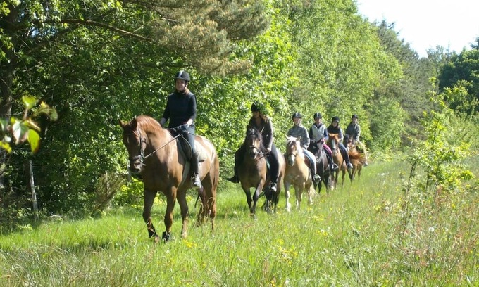 Holtgast Apartamento | Wohnung 4 auf dem Ferienhof Eilts -viele Ponys und Sonstige Tiere in Nordseenähe
