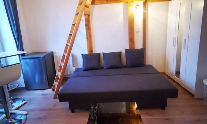 La Demi - Lune Apartamento | Studio Hypercentre Tassin - 2