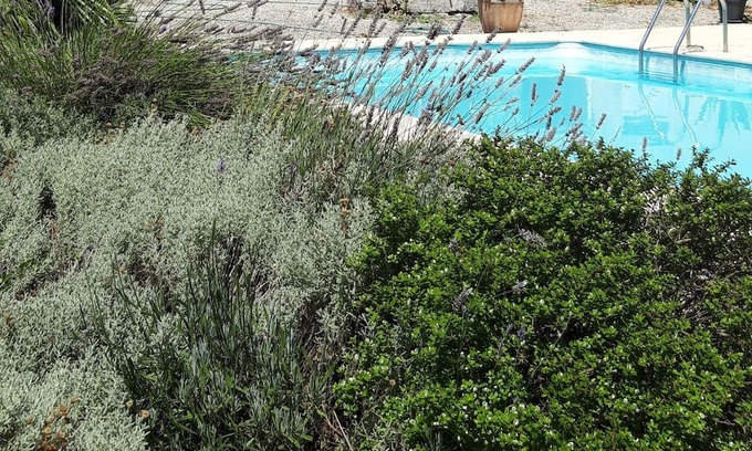 Pessines Casa | Charantaise Avec Piscine et Parc, 7 Minutes de Saintes, 25 Minutes de Royan