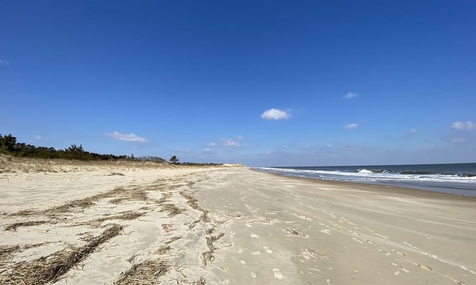 Milford Casa | Detached in law suite. Murphy bed, close to the hospital, 20 mins from the beach