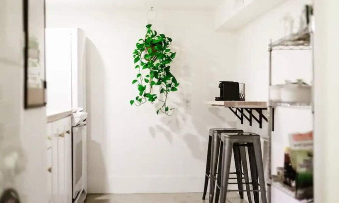 South Central Casa | This house is a 1 bedroom(s), 1 bathrooms, located in Kelowna, BC.