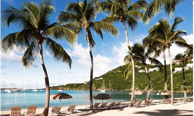 Estate Bellevue Complejo | Westin St. John Resort🌴2 BR Villa☀️
