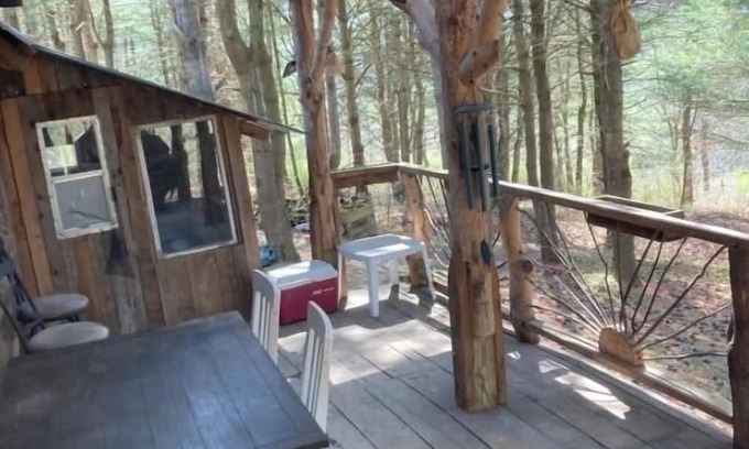 Dundee Cabina | Cozy, rustic off grid cabin on 15 acres. Pet friendly! No cleaning or pet fees!!