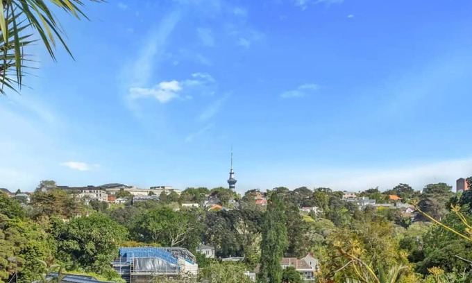 Remuera Casa | Garden in the city