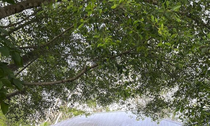 Bonita Springs Cabaña | Adorable Cottage Close To Downtown & Area Beaches.