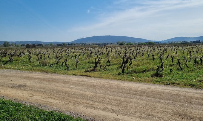 Olonzac Cabaña | Cottage Chaleureux Face aux Vignes Pour un Séjour Détente Pour Toute la Famille